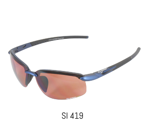 SI 419