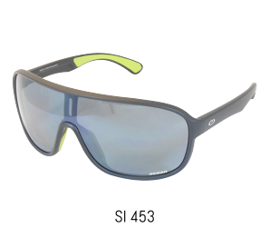 SI 453