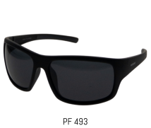 PF 493