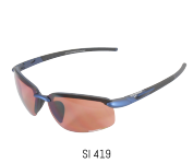 SI 419