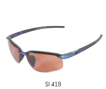 SI 419
