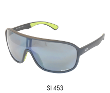 SI 453