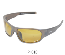 PI 618