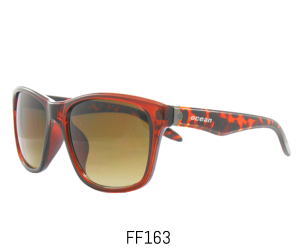 FF163