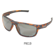 PI619