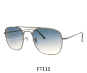 FF119