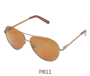 PI611