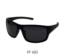 PF 493