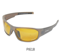 PI618