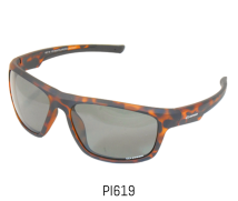 PI619